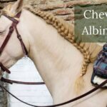 Le Cheval Albinos Existe-il vraiment ? [Résolu]