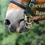 Cheval qui Bave: Les 9 Causes Expliquées - Réagir Vite !